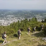 コンティネンタル