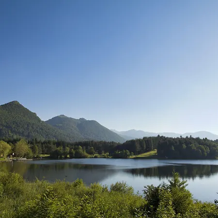 Continental لورد